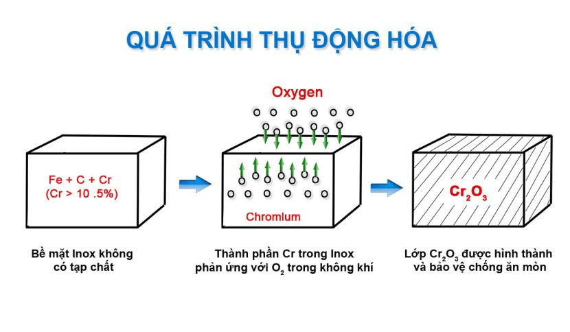 thu dong hoa inox