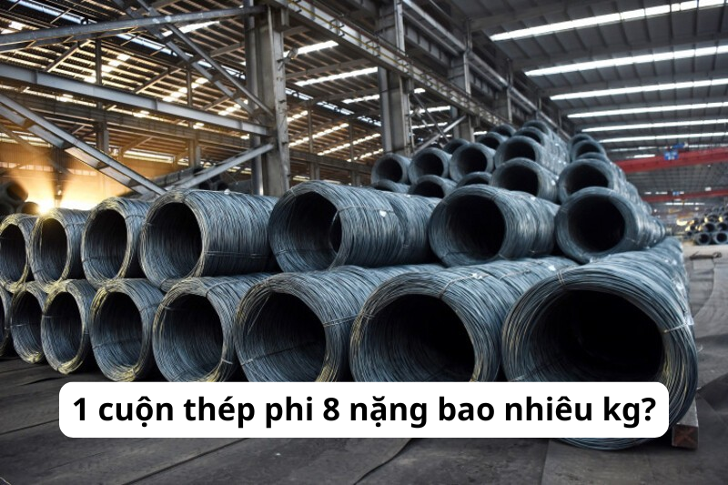 thép cuộn phi 8 